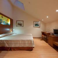 Single Attic Room