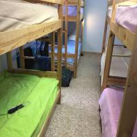 Bed in 8-Bed Dormitory Room