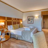 Executive Double Room (1 Adult)