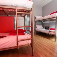 Bed in 6-Bed Dormitory Room
