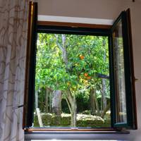 Deluxe Double or Twin Room with Garden View