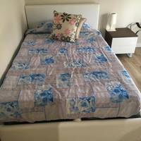 Single Room with Private Bathroom