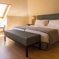 Deluxe Double or Twin Room with Sea View
