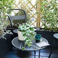 Superior Room with Terrace
