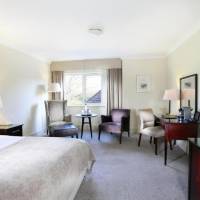 Room #12469873