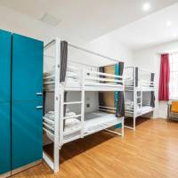 Bed in 8-Bed Dormitory Room