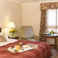Room #11577528