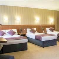 Room #11577534
