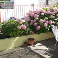 Studio with Terrace