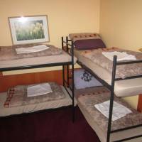 Bed in 8-Bed Mixed Dormitory Room