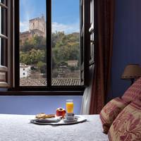 Double or Twin Room with Alhambra Views