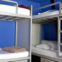 Bed in 8-Bed Mixed Dormitory Room