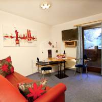Standard One-Bedroom Apartment (Type II)