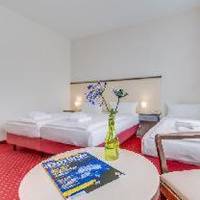 Room #6089027