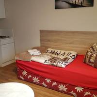 Single Room with Terrace