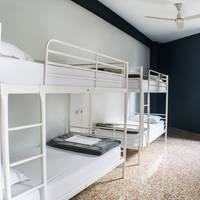 Bed in 10-Bed Mixed Dormitory Room