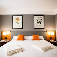 Double Room (2 Adults + 1 Child)