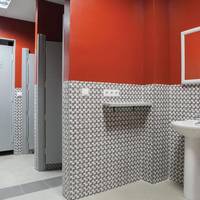 Bunk Bed in 12-Bed Dormitory Room