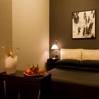 Deluxe Double Room - Single Use