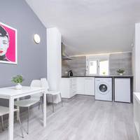 One bedroom penthouse with terrace 
