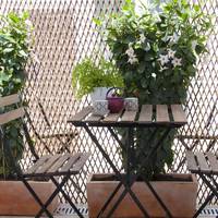 Double Room with Patio