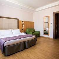 Triple Room with View