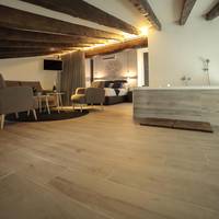 Suite Junior with Spa Bath and Private Terrace