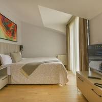 Junior Suite with Terrace