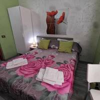 Budget Single Room