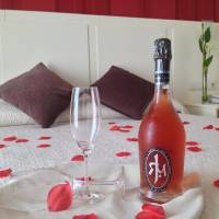 Special Offer - Double or Twin Room