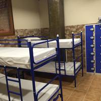 Bunk Bed in 12- Bed Mixed Dormitory Room