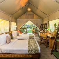 Superior Tent Triple Room