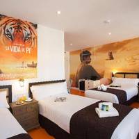 Room #225364042