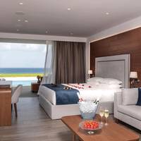 Honeymoon Suite with Private Pool SoulSauna and Gym