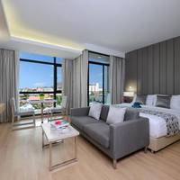 Deluxe Double or Twin Room with City View