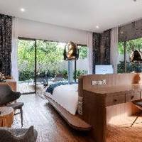 Room #354076325
