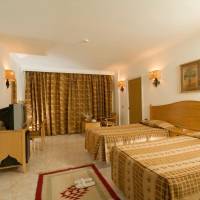 Double or Twin Room with Garden View