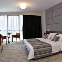 Superior Double or Twin Room with City View