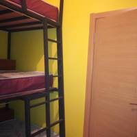 Bunk Bed in Mixed Dormitory Room