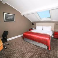 Standard King Sky View Room