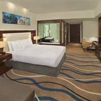 King Guest Room