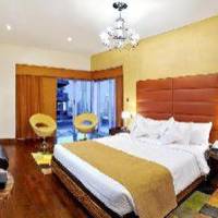 Room #40031524