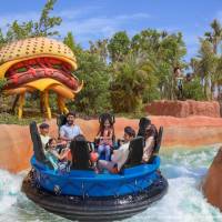 Classic Room Summer Getaway-Free Tickets to Dubai Parks and Resorts
