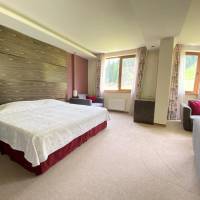 Junior Suite with Slopes View	(2 Adults)