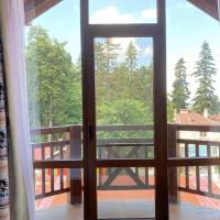 Junior Suite with Partial Slopes View 