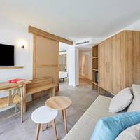 Deluxe One-Bedroom Apartment