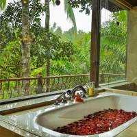 One-Bedroom Private Pool Villa with Free Benefits