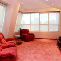 Penthouse Apartment