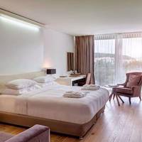 Classic Twin Room with Park View