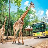 Two-Bedroom Villa - VinWonders and Safari Access